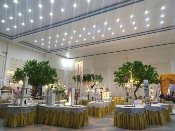 Paket Wedding di Gedung BK3S - Gambar 2