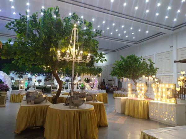 Paket Wedding di Gedung BK3S