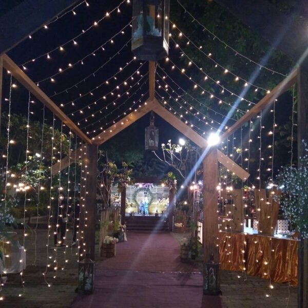 Paket Wedding di Rumah Pesta The Queen - Gambar 6